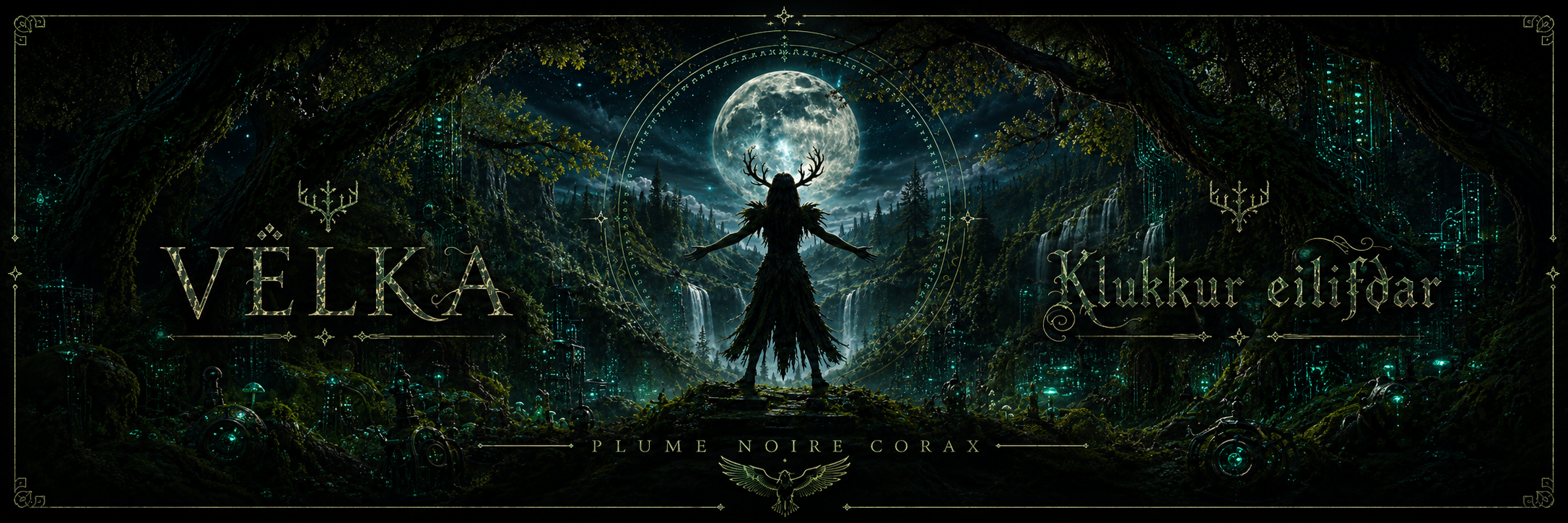 Plume Noire Corax